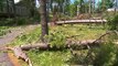 Sunday Storm Corkscrews Brainerd Bleachers