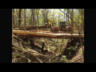 Sawing moons big cottonwood