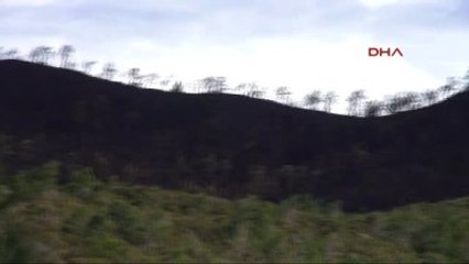 Marmaris'teki Yangını Yağmur Söndürdü