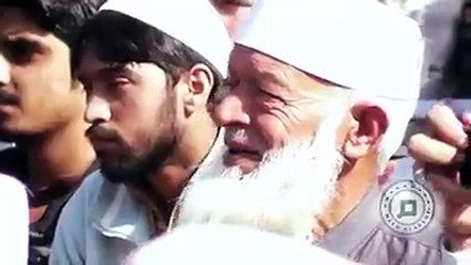 mulana tariq jameel