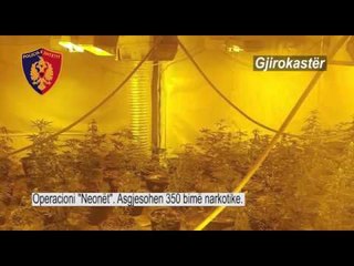 Report TV - Shkatërrohet sera e drogës me llampa elektrike në Gjirokastër