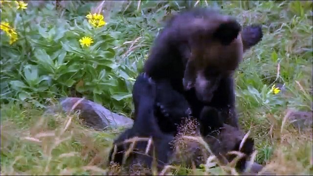 Красивая природа6