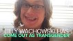 Director Lilly Wachowski Comes Out As Transgender