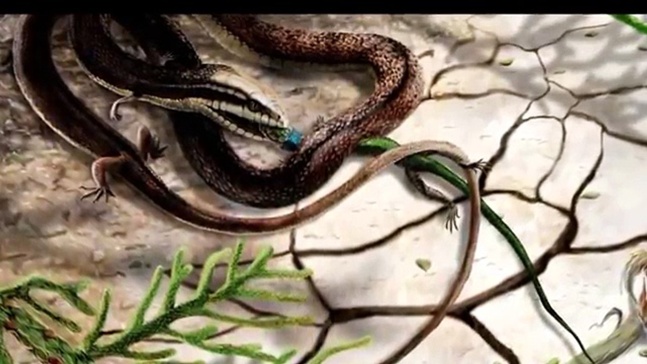 Snake with four legs