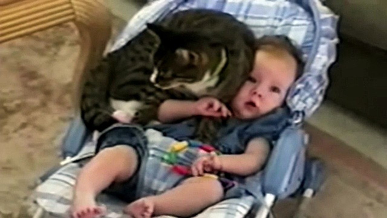 Cute Cats And Adorable Babies- Compilation