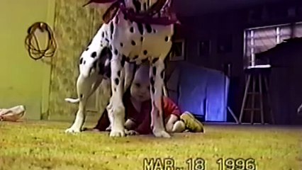 Cute Dogs And Adorable Babies- Compilation