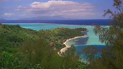 Природа мира46