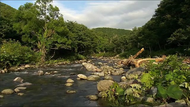 Красивая природа12