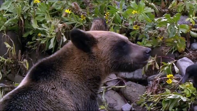 Красивая природа15