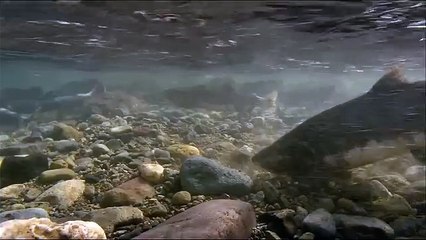 Красивая природа16