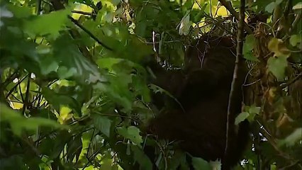 Природа мира82