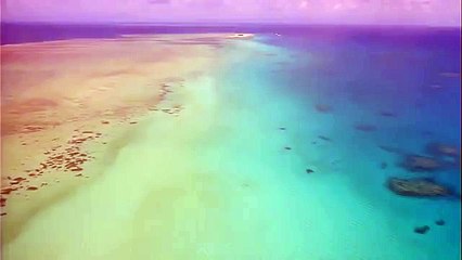 Природа мира28