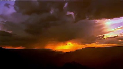 Природа мира238