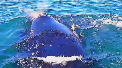 Природа мира196