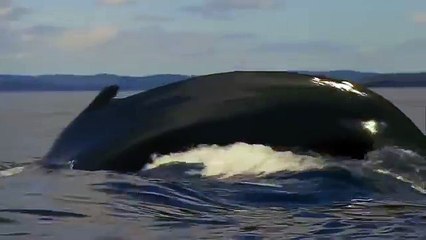 Природа мира202