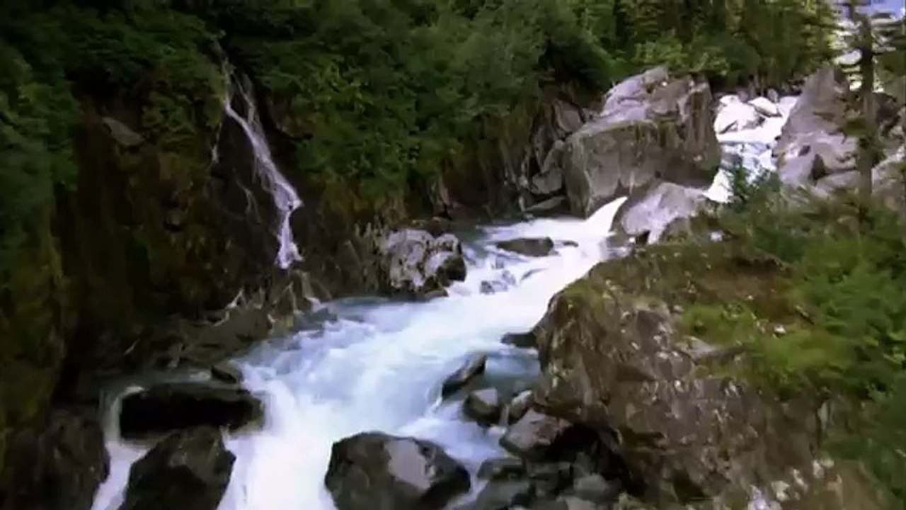 Дикая природа америки10