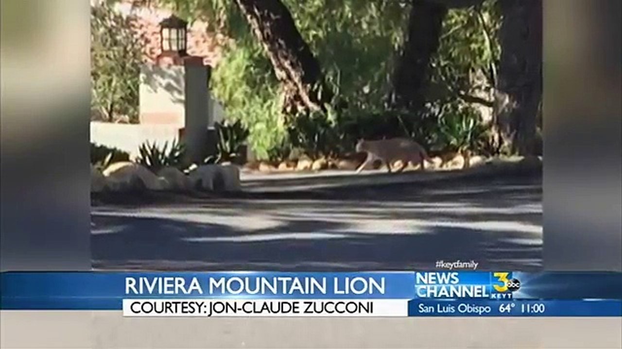 Jogger photographs mountain line on Valentine's Day (News World)