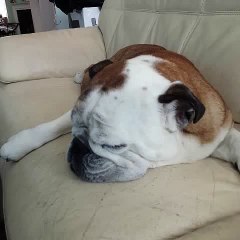 Music video for wswswsws performed by Cliff Ding.