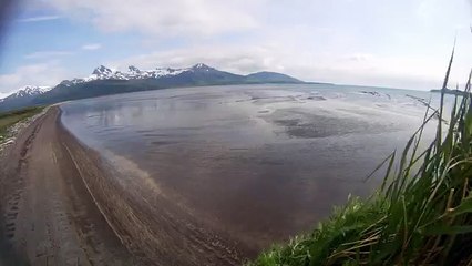 Про природу аляски027