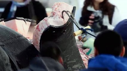 Про природу аляски073