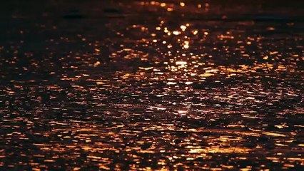 Про природу аляски057