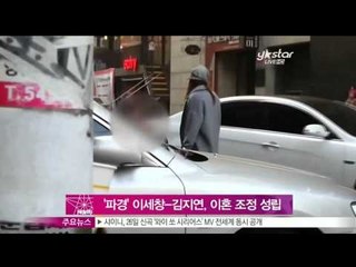 [Y-STAR] Lee Sechang and Kim Jiyeon gets divorced (이세창김지연, 결혼 10년 만에 각자의 길로 '이혼 조정 성립')