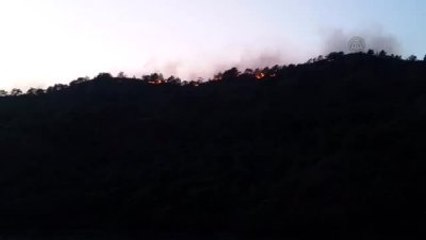 Marmaris'teki Orman Yangını - Muğla