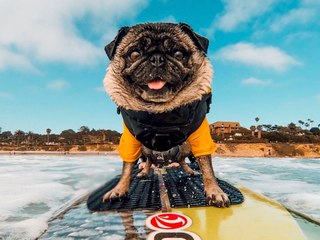 The Hit List: 3 Strange Ways to Use a GoPro Camera