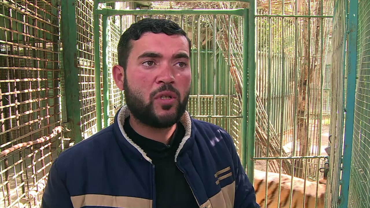 Tiere im Zoo von Chan Junis verhungern