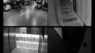 CCTV 여인 납치 동영상