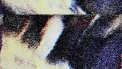 Area 407 (Tape 407) [2012] - Official Trailer