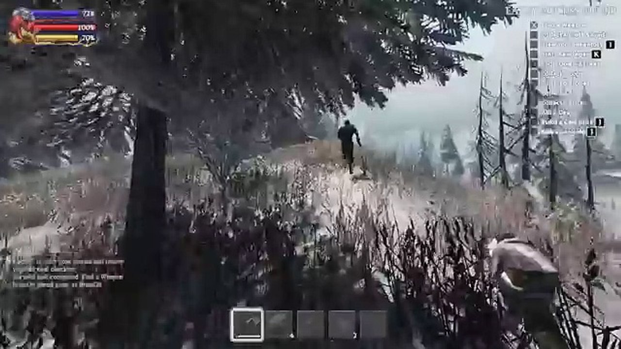 Savage Lands N11
