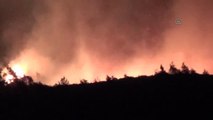 Marmaris'teki Orman Yangını