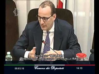 Roma - Audizione Direttore Tagliavia (09.03.16)