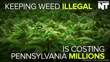 Keeping Weed Illegal Is Costing Pennsylvania Millions