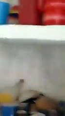 فيديو حصري ...إرهابي يسلم نفسه بعد محاصرة المنزل المتحصن به