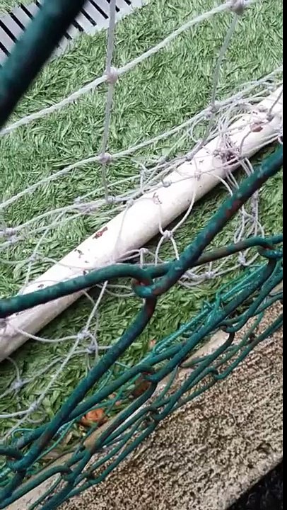 final sub13 aramaxpinheiros 30 de novembro de 2015