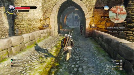 THE WITCHER 3 WALKTHROUGH PART 96 - A MATTER OF LIFE AND DEATH
