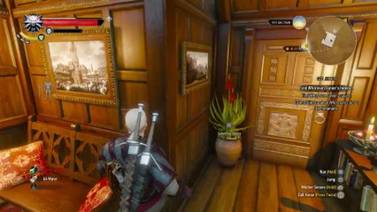 THE WITCHER 3 WALKTHROUGH PART 99 -  GET JUNIOR