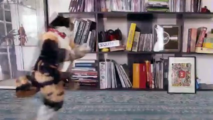 Подборка прикола N13