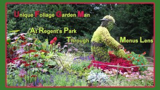 Beautiful Regent's Park In London - Unique Foliage Garden Man