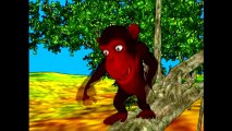 dessin animé le singe et le crocodile contes pour enfants  Dessins Animés Pour Enfants
