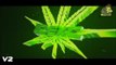 Top 5 Free Weed Intro Templates Blender, Cinema 4D & After Effects