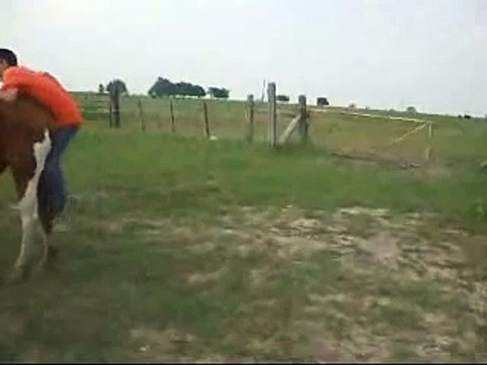 Never kick a horse