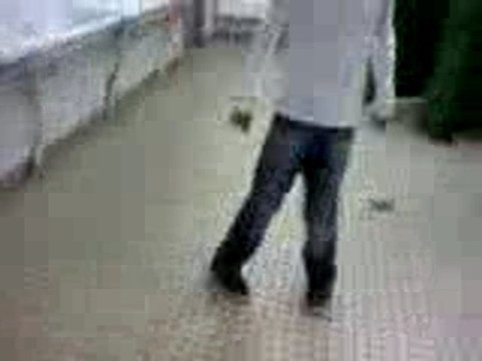 Video-0009