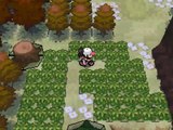 Pokemon White Walkthrough Part #16: Route 16