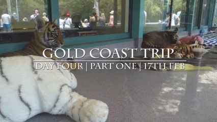 Gold Coast | Day Four | Dream of the Scream (part one)