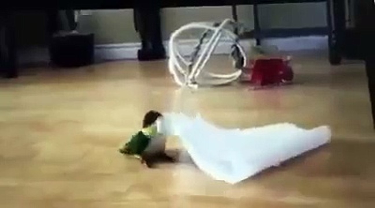 Bird Disco
