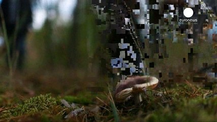 Greenpeace tire la sonnette d'alarme 30 ans après la catastrophe de Tchernobyl