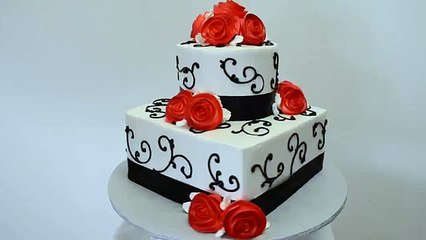 Black on White with Red Roses